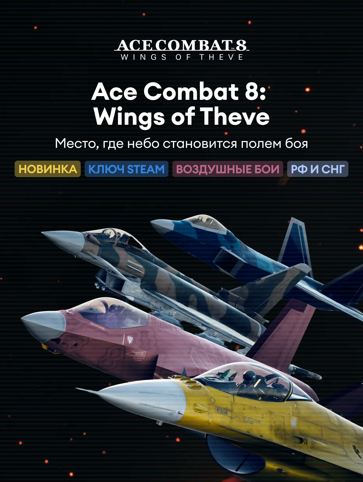Ace Combat 8: Wings of Theve